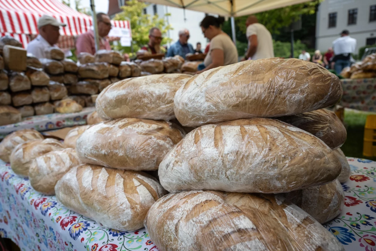 Kolorowe stragany wypełnione tradycyjnymi wyrobami, koncerty muzyki folkowej, kapel ludowych, kuglarzy i rzemieślników - to wszystko czeka uczestników 14. edycji Jarmarku Jakubowego w Szczecinie.  