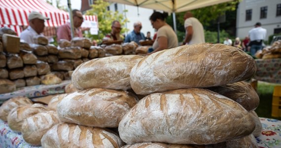 Kolorowe stragany wypełnione tradycyjnymi wyrobami, koncerty muzyki folkowej, kapel ludowych, kuglarzy i rzemieślników - to wszystko czeka uczestników 14. edycji Jarmarku Jakubowego w Szczecinie.  