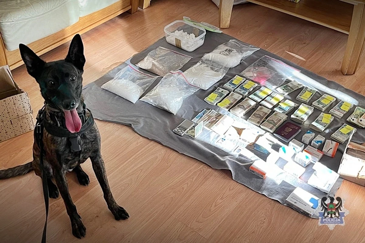 Blisko 10 kg narkotyków było ukrytych w kontenerze dawnej chłodni w Polkowicach. Policjantów doprowadził w to miejsce pies tropiący. Zatrzymany został 41-latek i jego 41-letnia partnerka.  