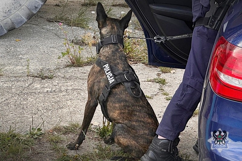 /Policja Dolnośląska /Policja