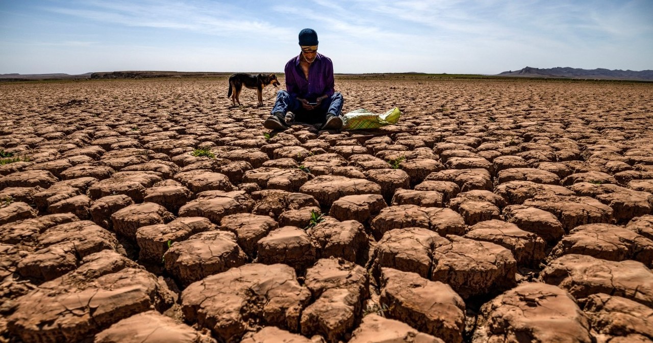 Najgorętszy rok w historii regionu. Ludzie na skraju wytrzymałości