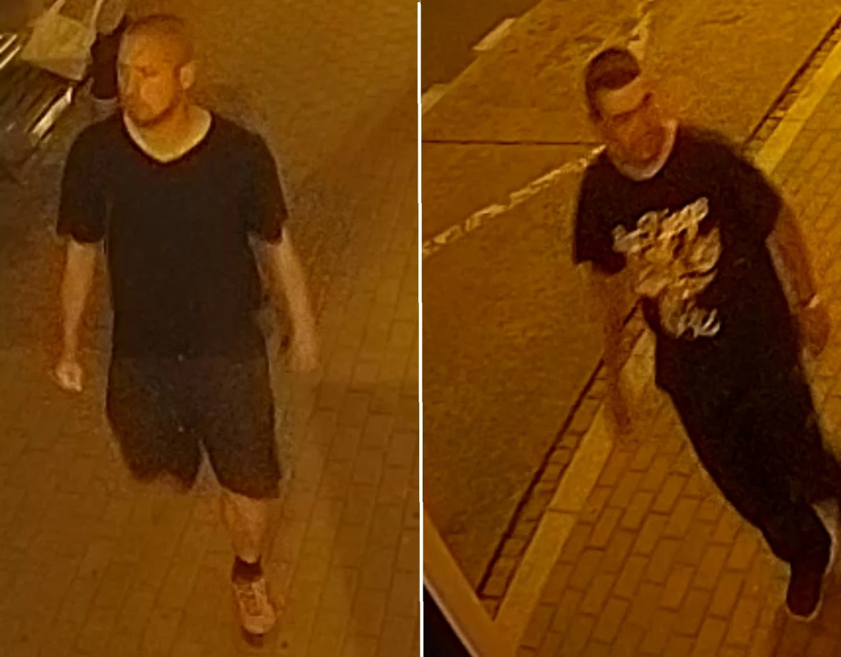 Do brutalnego pobicia doszło w Bielsku-Białej 9 lipca około godz. 22:37 na przystanku przy ul. Piłsudskiego 12. Wizerunki sprawców zarejestrował monitoring. W czwartek policja opublikowała je, apelując o pomoc i gwarantując anonimowość ewentualnym zgłaszającym. 