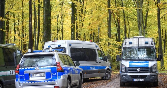 Do sądu rodzinnego i dla nieletnich policjanci doprowadzili 15-latka i 16-latka, którzy usłyszą zarzut rozboju i zostaną objęci nadzorem kuratora, a także 13-latkę, która usłyszy zarzut pomocnictwa w rozboju. Dziewczyna dodatkowo trafiła już do ośrodka poprawczego. To pokłosie bójki, do której doszło w poniedziałek w Lesie Bródnowskim w Warszawie. 