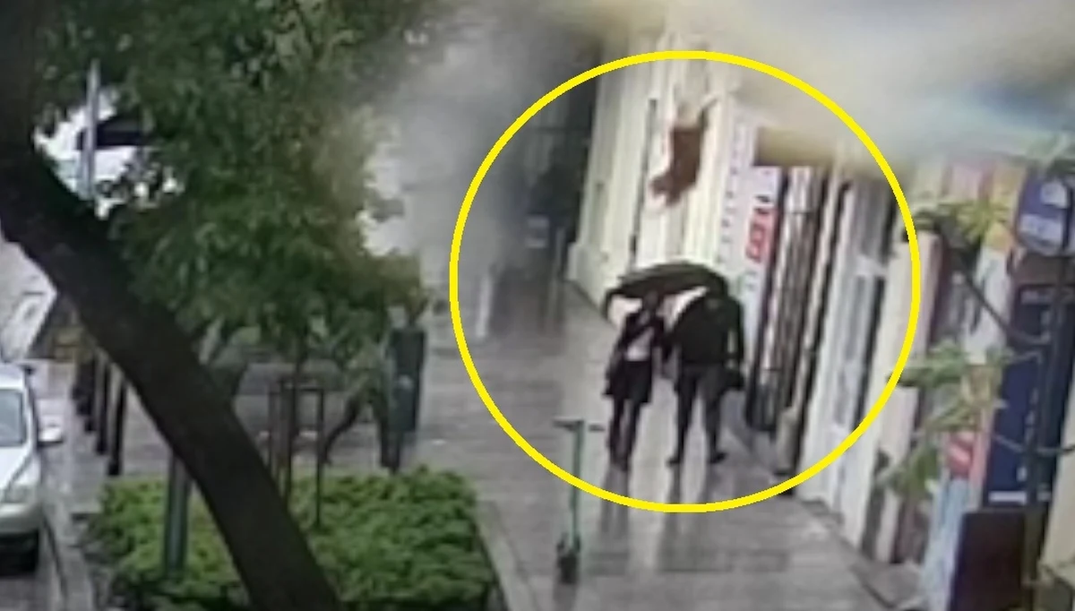 Owczarek niemiecki wyskoczył z drugiego piętra mieszkania wprost na przechodzącą chodnikiem kobietę. Pies prawdopodobnie przestraszył się burzy - informują lubelscy policjanci. 