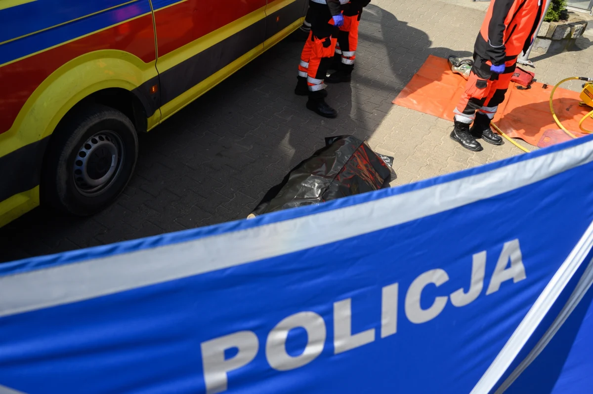 Policja poinformowała w piątek o wypadku z udziałem trzech aut, do którego doszło w rejonie miejscowości Winnica na Mazowszu. Z wraków samochodów wydobywał się dym. W jednym z rozbitych aut, które było w rowie, siedziała zakrwawiona kobieta. W drugim samochodzie, w foteliku, siedziała kilkuletnia dziewczynka. W jej ciele znajdował się kawałek szkła, a z rany sączyła się krew.