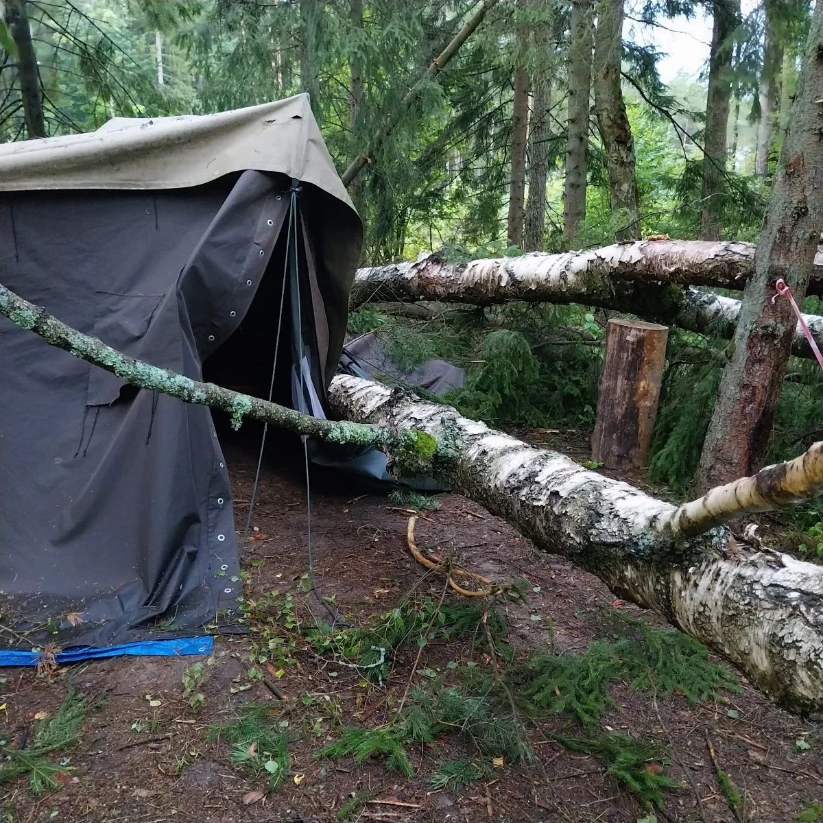 Dwie osoby nie żyją a dwie zostały ranne w czasie burz i wichur, które od niedzieli przechodzą nad Polską. Strażacy musieli interweniować prawie trzy i pół tysiąca razy. 