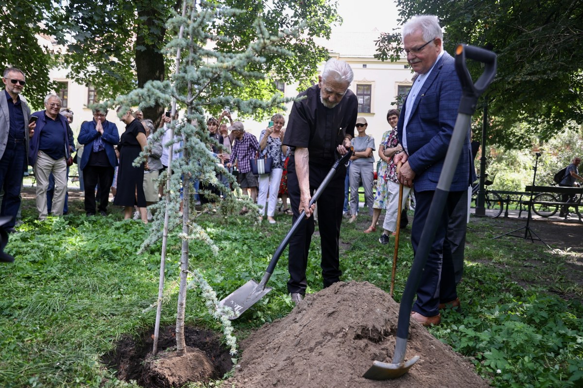 Symbolizujący długowieczność cedr podarowany ks. Adamowi Bonieckiemu z okazji 90. urodzin został posadzony w poniedziałek na krakowskich Plantach. Drzewko redaktor senior "Tygodnika Powszechnego" otrzymał od przyjaciół i współpracowników podczas obchodów jubileuszu w Muzeum Manggha.