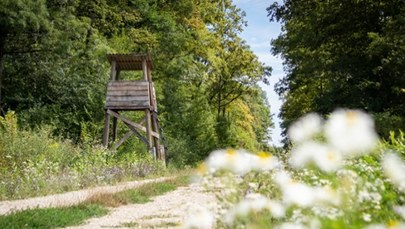 Szykowali się na polowanie. Przypadkowy wystrzał zabił 29-latka