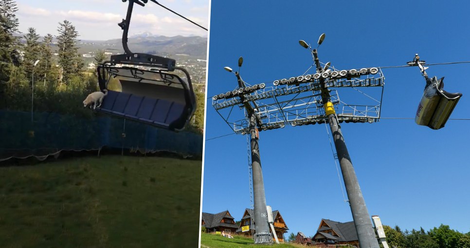 Pies wyskoczył z wyciągu krzesełkowego w Zakopanem. „Musimy to wyjaśnić”