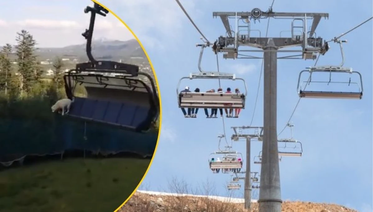 Zakopiańska policja będzie wyjaśniać okoliczności bulwersującego zdarzenia, do którego doszło w sobotnie popołudnie. Z wyciągu wyskoczył pies, który bez opieki jechał wagonikiem. Ten groźny incydent nagrał jeden z turystów. 