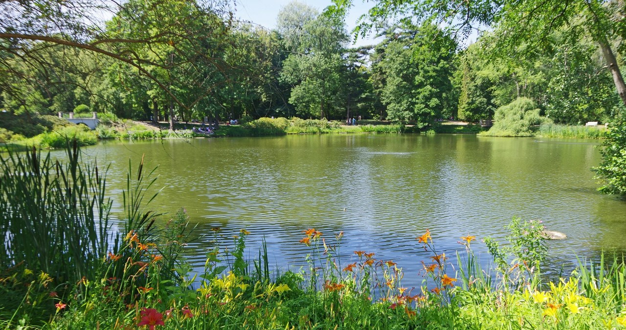 Zniszczenia w Łazienkach Królewskich. Nowy komunikat