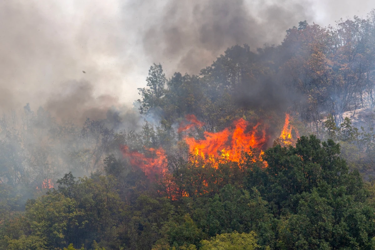 Setki strażaków i samoloty gaśnicze walczą z pożarami w Dalmacji – położonej nad Morzem Adriatyckim części Chorwacji. Do walki z ogniem zaangażowano wojsko.