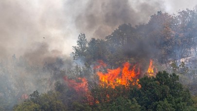 Dalmacja płonie. Możliwe ewakuacje