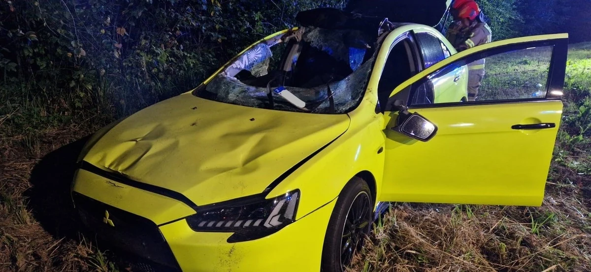 21-latka została ranna po tym, jak łoś wtargnął wprost pod jej samochód. Do wypadku doszło wczoraj po g. 21. w okolicy Macoszyna Dużego na Lubelszczyźnie. Kobieta próbowała uniknąć zderzenia i wjechała do rowu. Łoś przeżył i uciekł do lasu, a za nim podbiegł malutki york.   