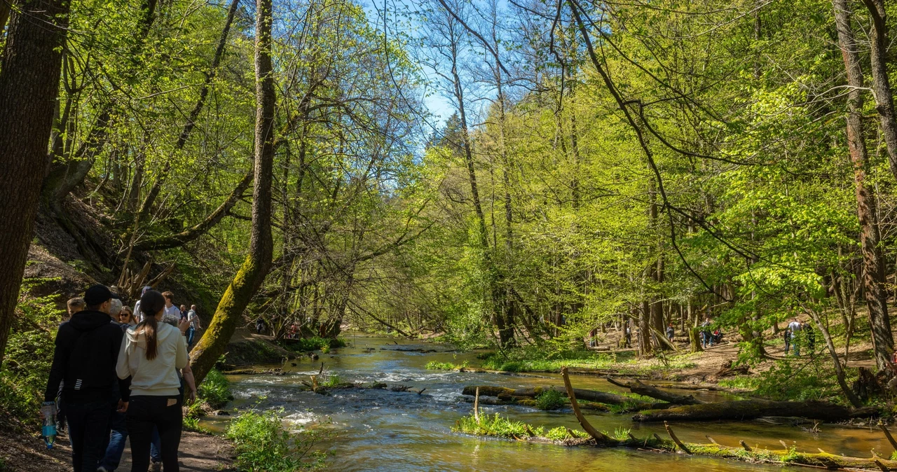  Brak planów na długi weekend? Odwiedź któryś z najpiękniejszych parków narodowych w Polsce