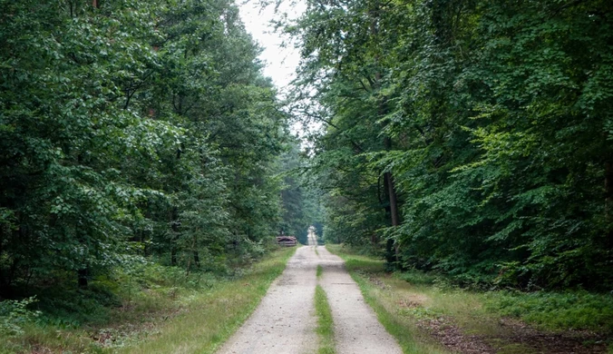 Postrzelił 28-latka podczas polowania. Teść z zarzutem