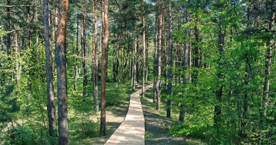 Trwają prace nad powstaniem lasów społecznych w Polsce. Ministerstwo Klimatu i Środowiska wyznaczyło 14 lokalizacji, w których takie miejsca mogą powstać. Jedno z nich znajduje się pod Poznaniem.