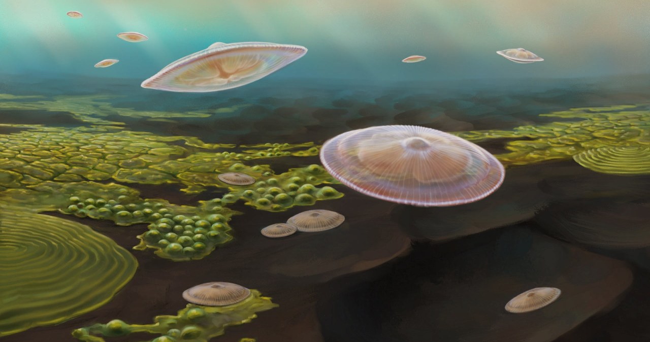 Nowe dowody życia w skałach sprzed 3,3 mld lat mogą zmienić podręczniki