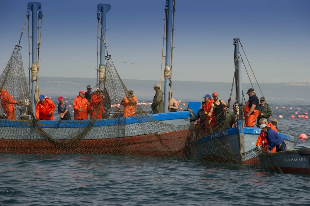 Łodzie rybackie na Oceanie Atlantyckim