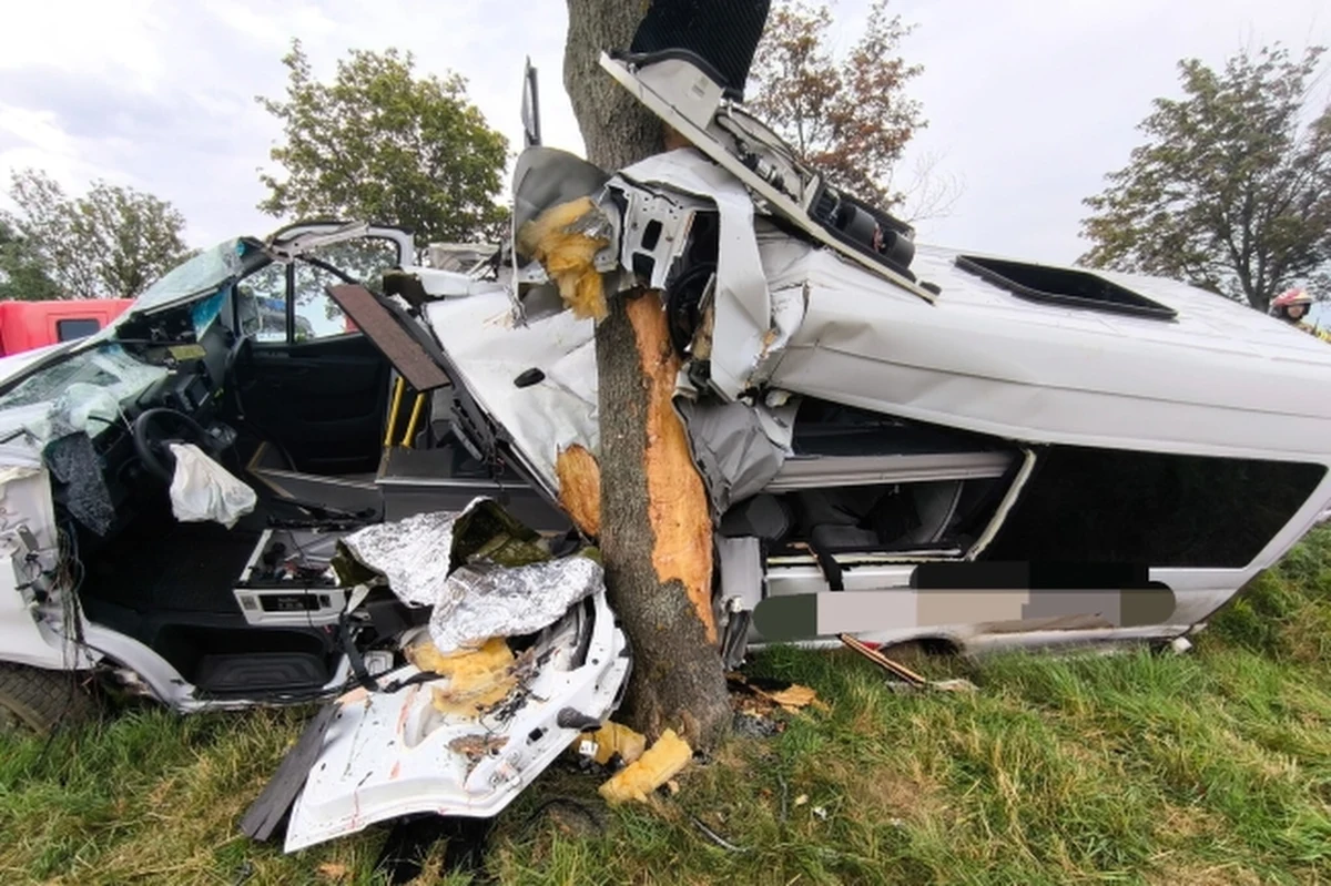 Dwie osoby zginęły po wypadku busa na drodze krajowej nr 8 w miejscowości Pustków Wilczkowski (Dolnośląskie). Auto wypadło z drogi i uderzyło w drzewo.