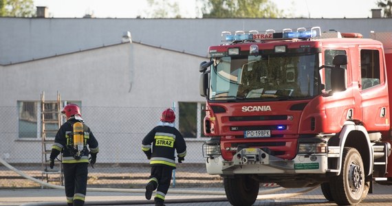 16 zastępów straży walczy z pożarem na fermie drobiu w miejscowości Bolewicko w Wielkopolsce.