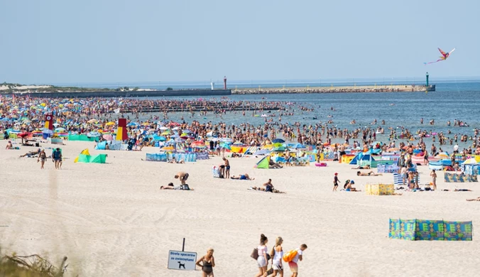 Zakazy nad Bałykiem mogą zaskoczyć. Za co można dostać mandat na plaży?