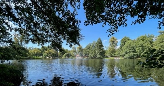 50. urodziny będzie świętować w ten weekend Roztoczański Park Narodowy. W sobotę i niedzielę wstęp na ścieżki i do obiektów edukacyjnych będzie bezpłatny. Przy okazji warto też zajrzeć w inne zakątki Roztocza.