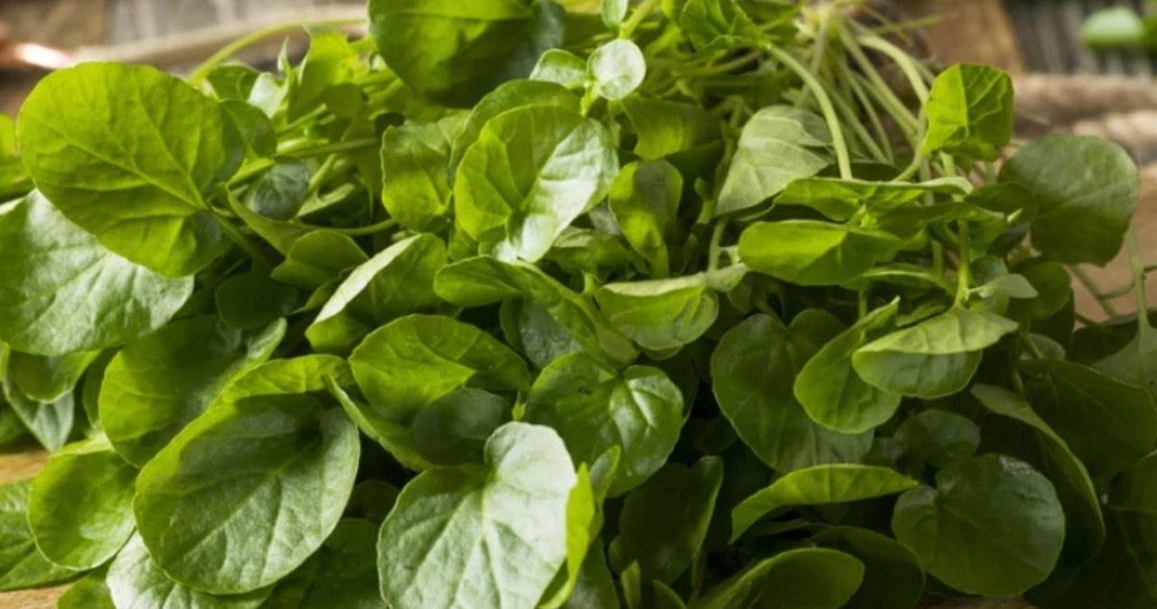 Najlepsza w rankingu najzdrowszych warzyw. Odmładza, wspiera wątrobę