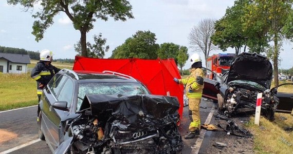 Dwie ofiary śmiertelne, czworo poszkodowanych - w tym dwoje dzieci - to tragiczny bilans wypadku, do którego doszło w niedzielę rano w miejscowości Kodrąb na drodze krajowej numer 42 w Łódzkiem. Kierujący citroenem miał blisko 2,5 promila alkoholu w wydychanym powietrzu.