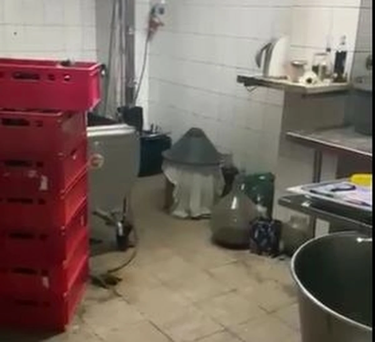 Ponad 100 litrów alkoholu bez polskich znaków akcyzy i kilkadziesiąt litrów półproduktów służących do jego wyrobu przejęli policjanci z Siedlec, którzy w Mokobodach na Mazowszu zlikwidowali nielegalną bimbrownię. 