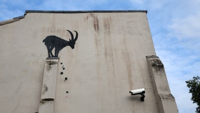 Nowe dzieło Banksy'ego. Koza nad przepaścią