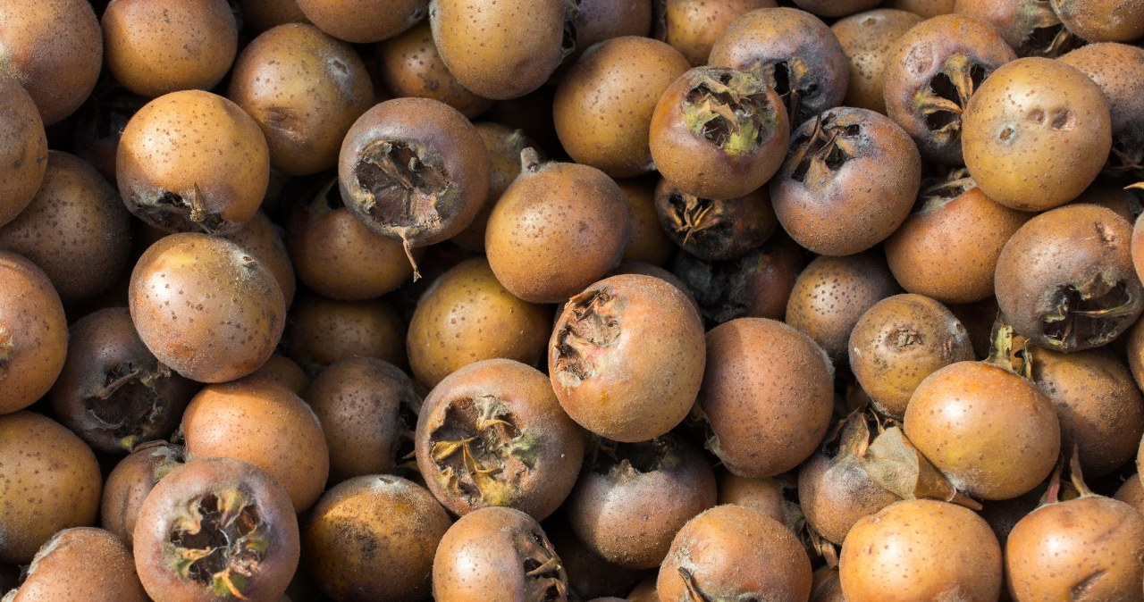 Te owoce zawsze zbierała moja babcia. Dzisiaj sama robię z nich obłędny dżem