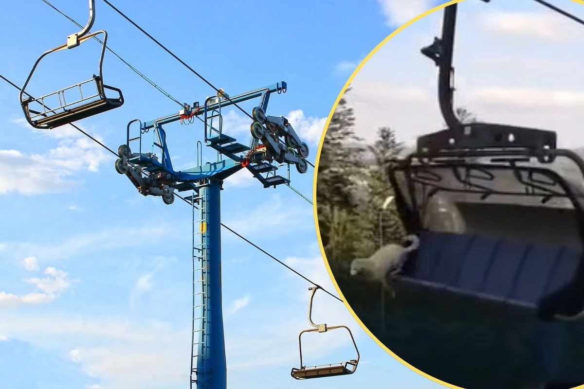 Prokuratura umorzyła dochodzenie w sprawie psa, który zeskoczył z krzesełka kolejki linowej na Polanie Szymoszkowej w Zakopanem i w wyniku upadku doznał śmiertelnych obrażeń. Zdaniem śledczych nie doszło do znęcania się nad zwierzęciem. Właściciel czworonoga odpowie za wykroczenie polegające na niedopilnowaniu psa.