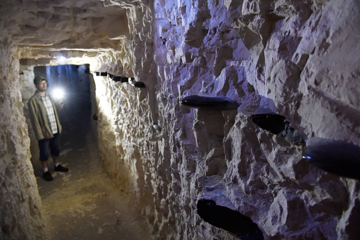 Kopalnie krzemienia pasiastego i neolityczne osady w Krzemionkach wpisane na Listę Światowego Dziedzictwa UNESCO mogą zostać z niej skreślone. Zagrożenie wynika z działalności pobliskiej kopalni wapienia, która chce zwiększyć wydobycie - przestrzega dyrekcja muzeum archeologicznego w Ostrowcu Świętokrzyskim.