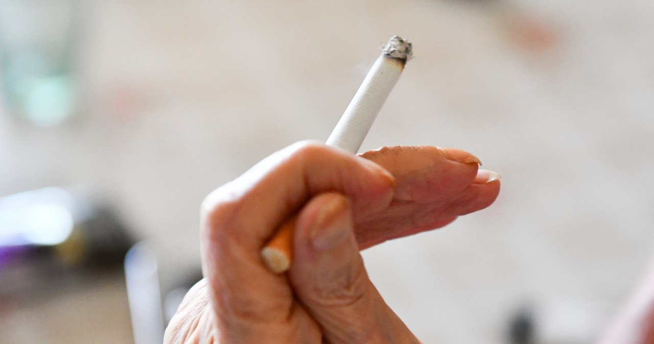 Podwyżka cen papierosów w Niemczech. Nowy podatek uchwalił rząd Merza Podwyżka cen papierosów w Niemczech. Nowy podatek uchwalił rząd Merza