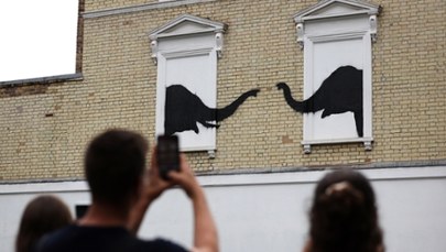 Najpierw koza, teraz słonie. Dwa murale Banksy'ego w ciągu 24 godzin