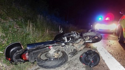 Motocyklista zginął po zderzeniu z łosiem