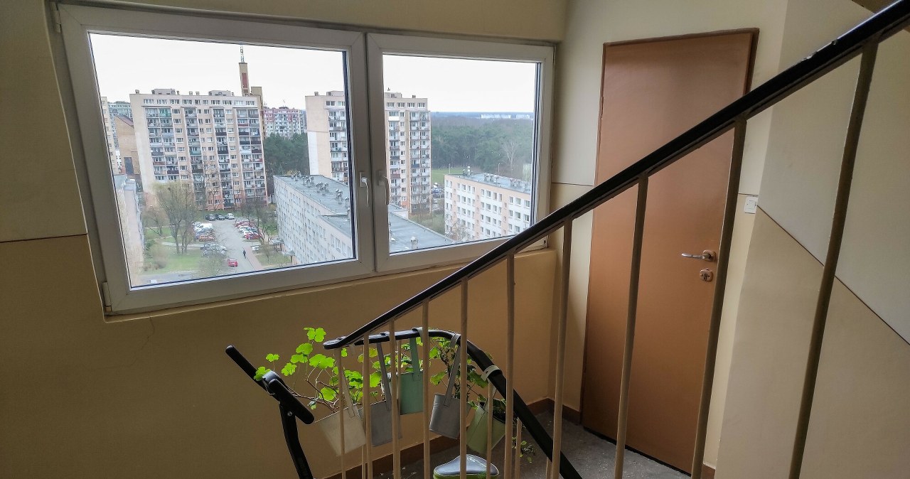 Kto powinien sprzątać klatkę, gdy wspólnota nie zatrudnia firmy?