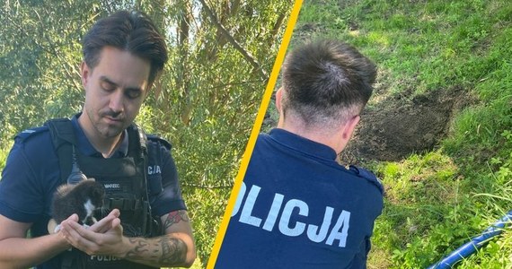 52-letnia kobieta z miejscowości Żelichowo w Pomorskiem odpowie przed sądem za zakopanie żywcem dwumiesięcznego kota - poinformowała policja w czwartek. Mundurowi ustalili, że na posesji znajdowały się jeszcze dwa czworonogi: jeden żywy i jeden martwy. Kobiecie grozi do 5 lat więzienia. 