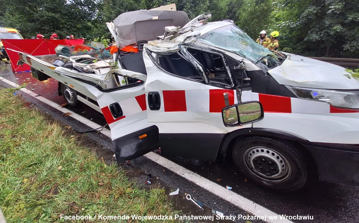Tragedia na drodze krajowej nr 46 w Podzamku na Dolnym Śląsku. Na przejeżdżające auto spadło drzewo. W wyniku wypadku zginęła jedna osoba.