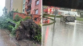 Dąbrowa Górnicza pod wodą. Zalane ulice, powalone drzewa