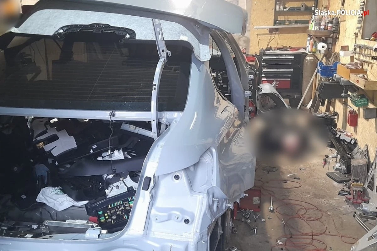 Policji na gorącym uczynku zatrzymali czterech młodych mężczyzn, którzy demontowali skradziony w Rzeszowie samochód bmw o wartości pół miliona złotych. Wobec zatrzymanych sąd zastosował tymczasowy areszt. Sprawa ma charakter rozwojowy