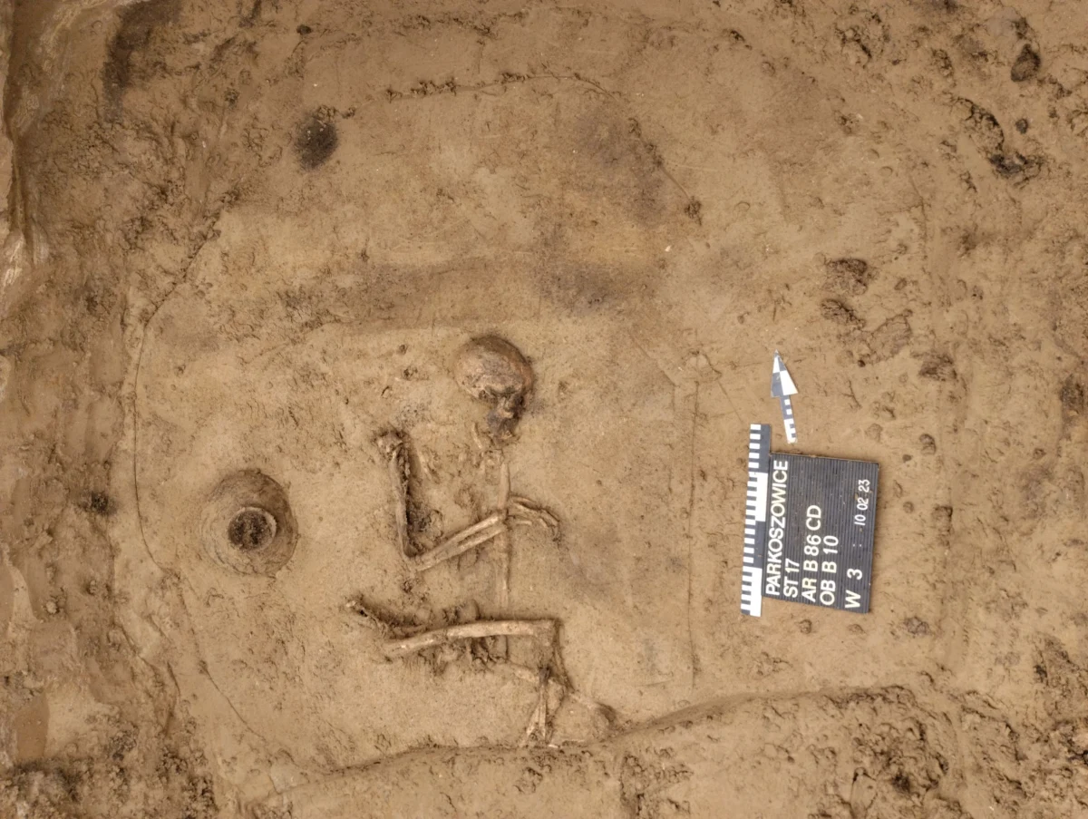 Cmentarzysko, które powstało ponad 4 tysiące lat temu, na przełomie neolitu i epoki brązu, odkryli  w Parkoszowicach w Małopolsce archeolodzy, pracujący przy budowie drogi ekspresowej S7. Pochowano tam osiem osób, przedstawicieli kultury ceramiki sznurowej.