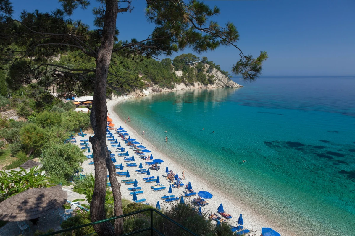 Osiem osób zmarło w wyniku zakażenia wirusem Zachodniego Nilu w Grecji. W lipcu i sierpniu zarejestrowano tam 55 zachorowań. "To pięć razy więcej niż w tym samym okresie rok wcześniej" - zaalarmowali eksperci. Do zakażenia człowieka dochodzi w wyniku ukąszenia komara. Objawy choroby to bardzo wysoka gorączka, a nawet zapalenie opon mózgowych czy zapalenie mózgu. 