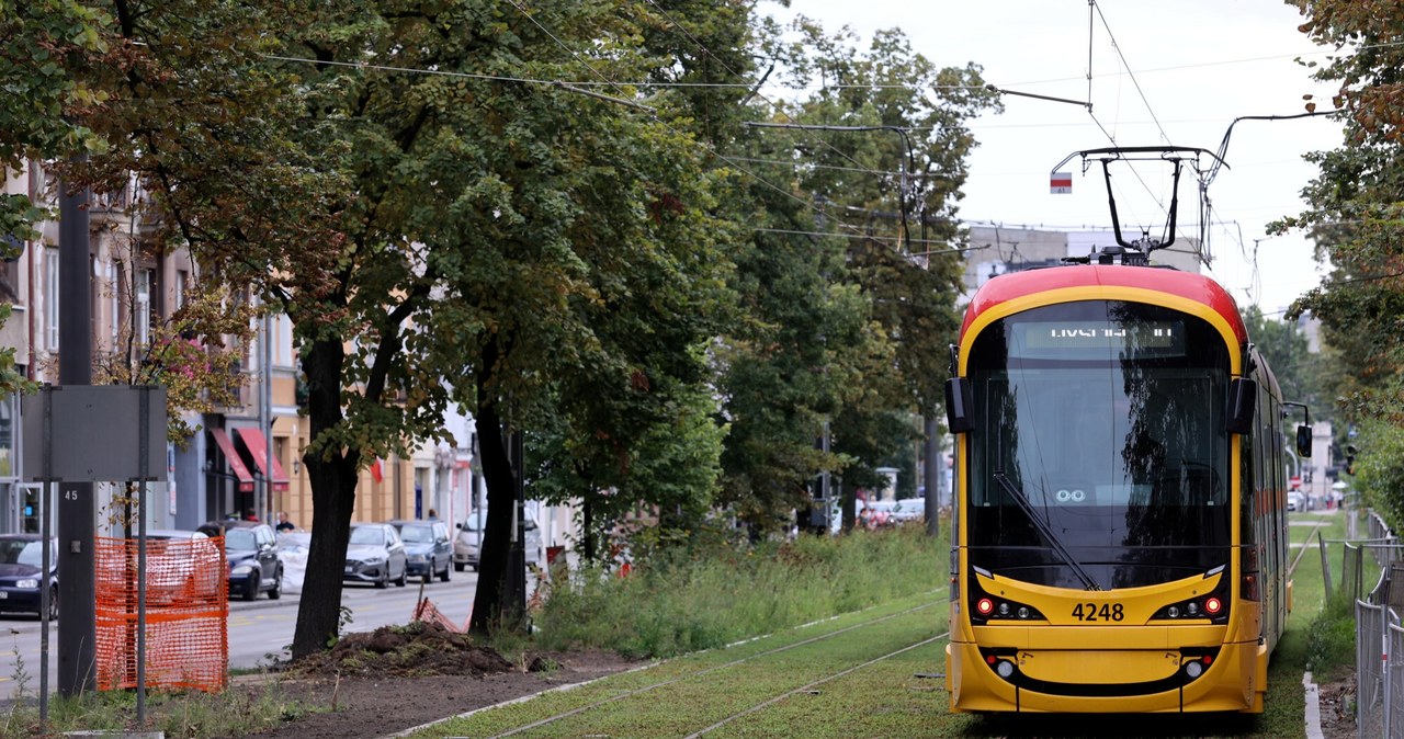 Mchu, ogrodu, chodnika, często, pozbywamy, tymczasem, Warszawa, niego, inwestuje, Torowiska, rozchodnikiem, stolicy, maty, trawa Już nie tylko mech, oregano i trawa. Warszawa inwestuje w kolejne zielone torowiska