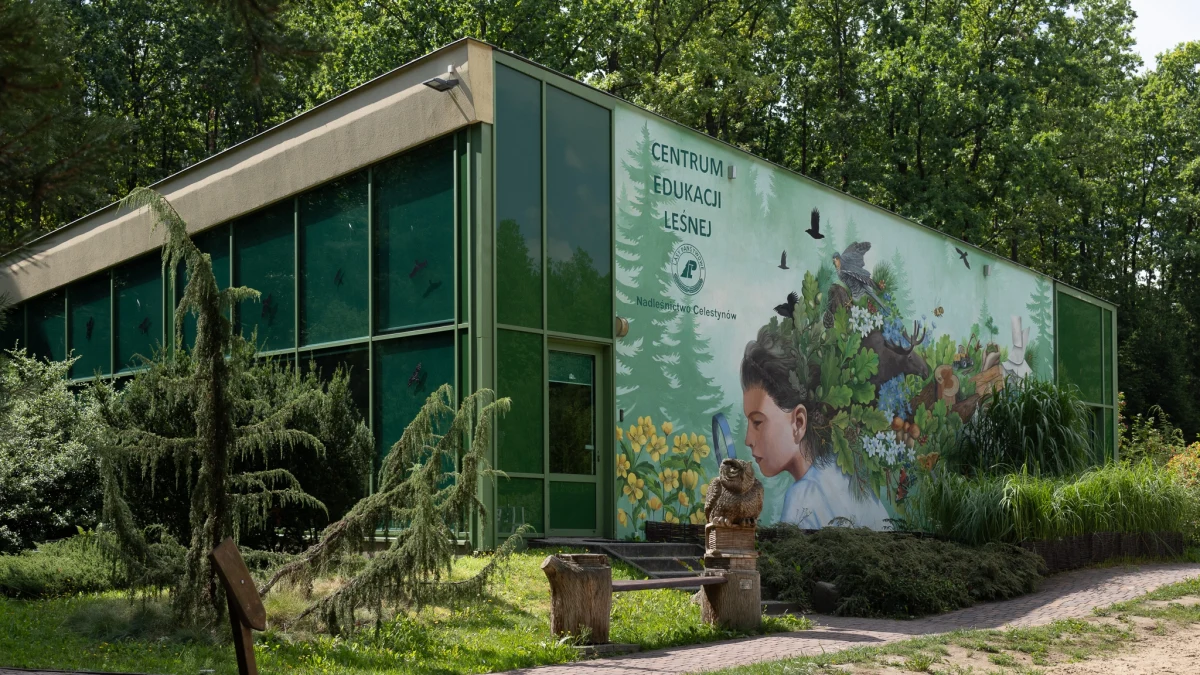 Bliskość natury, cisza, spokój - to oferuje nam każdy las. Dla miłośników przygód nocleg w takim miejscu nie jest dziś problemem. Lasy Państwowe kolejny rok zachęcają do takiej formy odpoczynku, prowadząc program "Zanocuj w lesie".