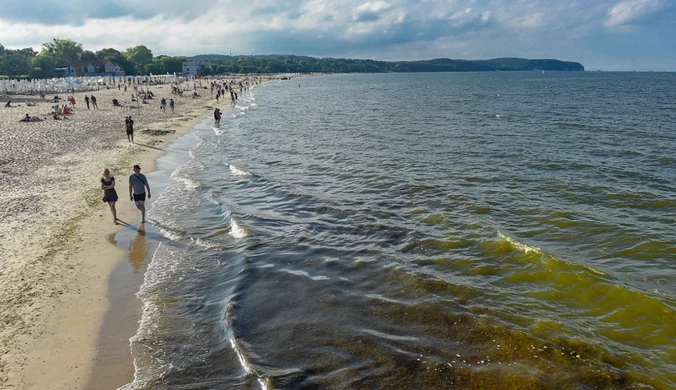 Czerwone flagi na kąpieliskach. Służby wykryły poważne zagrożenie 