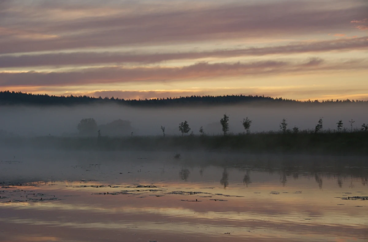 Gmina Grabówka ma powstać z początkiem 2025 roku. Problem w tym, że nie wszyscy tego chcą. W formie internetowej petycji władze podbiałostockiej gminy Supraśl zbierają głosy poparcia przeciwników wydzielenia z niej dodatkowej gminy. 
