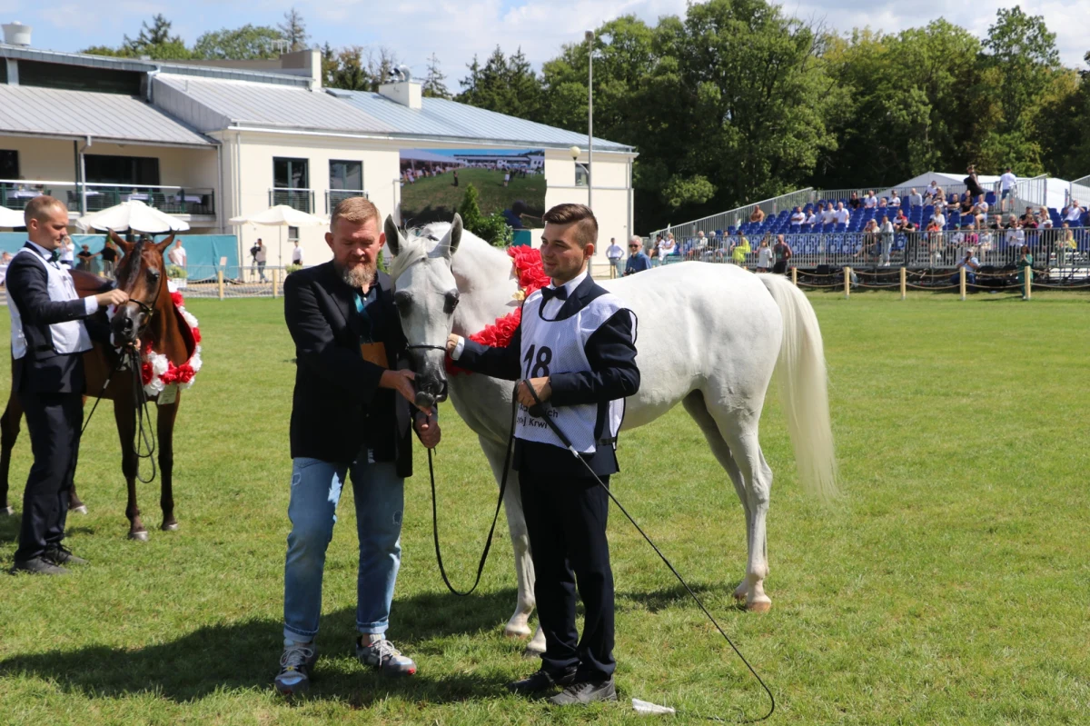 Narodowy czempionat klaczy młodszych pod patronatem RMF FM wygrała klacz Wildonara z Michałowa. W Janowie Podlaskim trwają Dni Konia Arabskiego. 