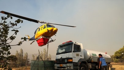 Pożary w Grecji. Dym zasnuł niebo nad Atenami, zarządzono ewakuację